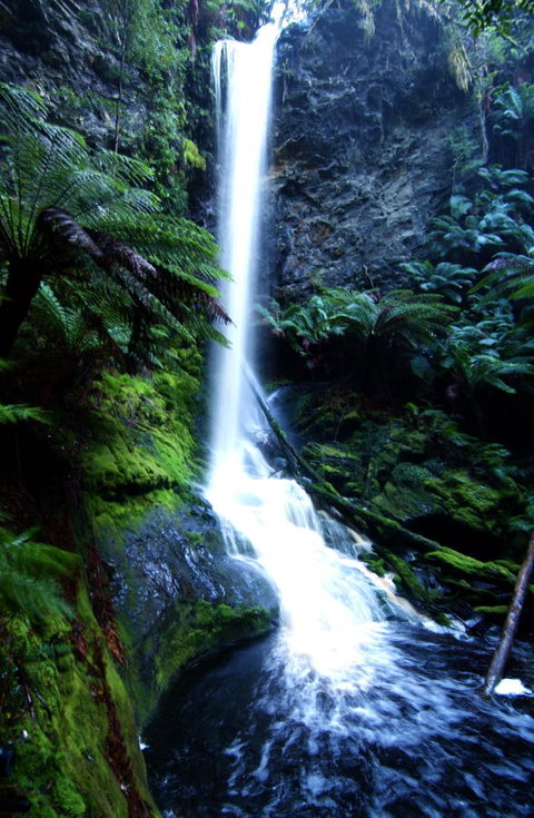 Corinna Wilderness Village - Northern Rivers Accommodation 40