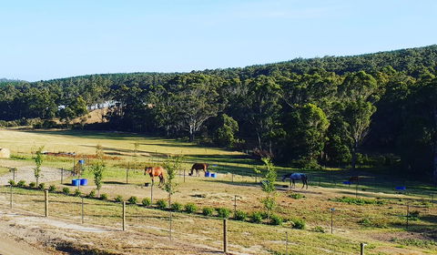 Lockleigh Park - Northern Rivers Accommodation 19
