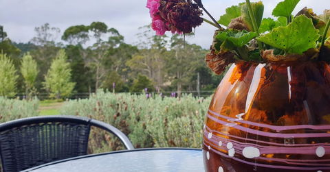 Lockleigh Park - Northern Rivers Accommodation 22