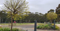Book Lebrina Accommodation Vacations Northern Rivers Accommodation Northern Rivers Accommodation