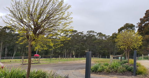 Lockleigh Park - Northern Rivers Accommodation 0