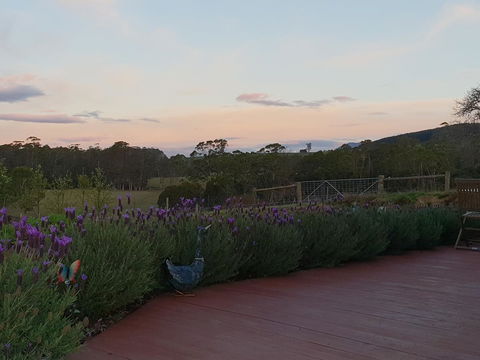 Lockleigh Park - Northern Rivers Accommodation 23