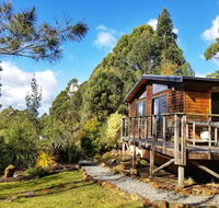 Southern Forest Accommodation - Northern Rivers Accommodation