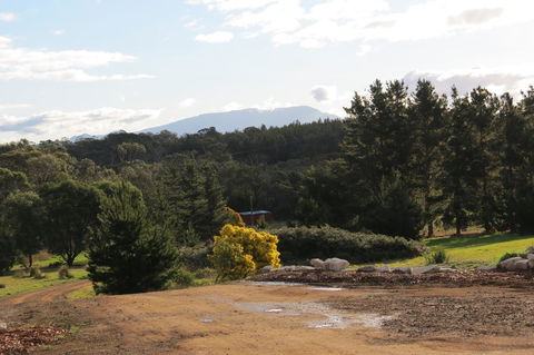 Catherine Lodge Farm Gate Cottages - Northern Rivers Accommodation 19