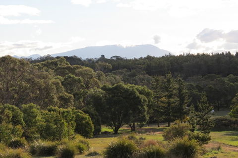 Catherine Lodge Farm Gate Cottages - Northern Rivers Accommodation 21