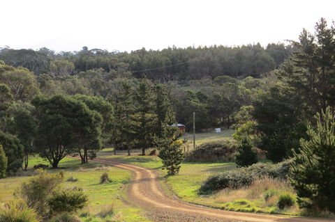 Catherine Lodge Farm Gate Cottages - Northern Rivers Accommodation 20