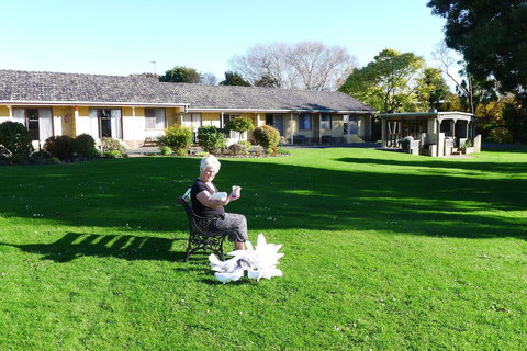 Willaway Motel Apartments - Northern Rivers Accommodation 10