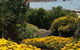 Penguin Beach House - thumb 18