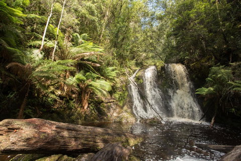 Strahan Village - Northern Rivers Accommodation 27