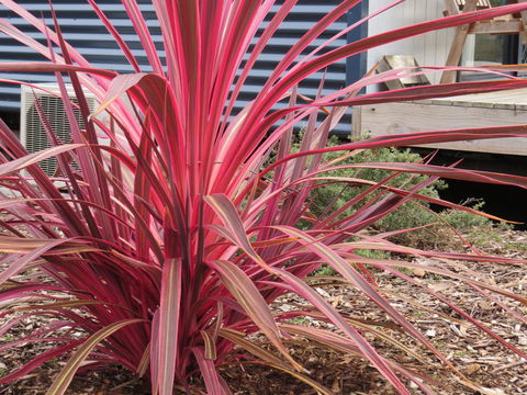 Captain Cook Holiday Park - Northern Rivers Accommodation 15