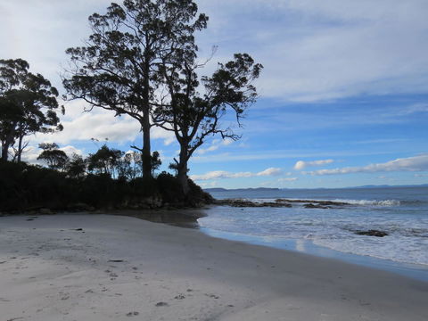 Captain Cook Holiday Park - Northern Rivers Accommodation 9