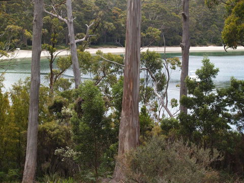 Stewarts Bay Lodge - Northern Rivers Accommodation 23