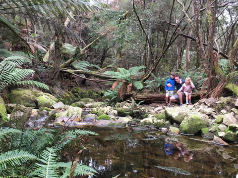 Derby Forest Cabins - Northern Rivers Accommodation 17
