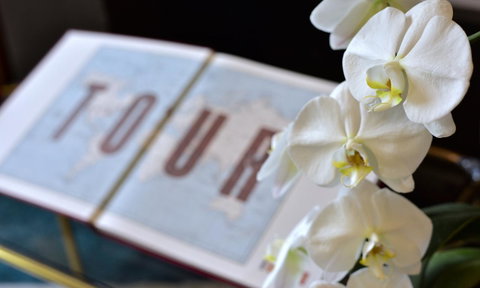 Lotus Gogh Apartment - Northern Rivers Accommodation 6