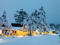 Book Cradle Mountain Accommodation Vacations Northern Rivers Accommodation Northern Rivers Accommodation