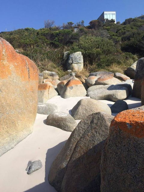 Holland House Bay Of Fires - Northern Rivers Accommodation 5