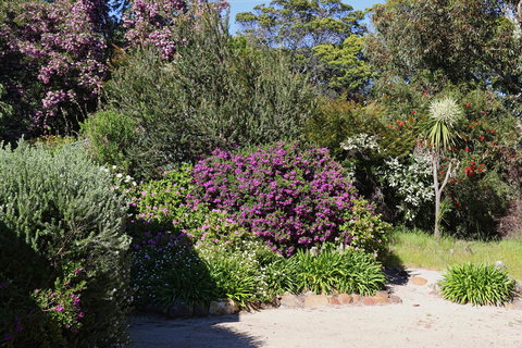 Hazards Beach House - Northern Rivers Accommodation 1