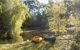 Whispering Spirit Holiday Cottages & Mini Ponies - thumb 6