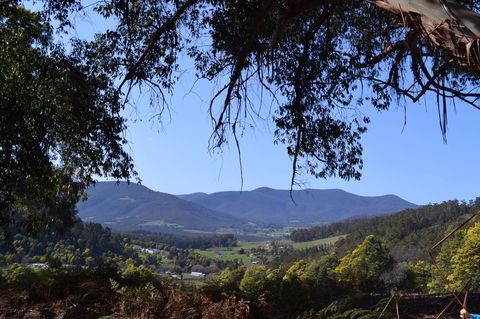 Whispering Spirit Holiday Cottages & Mini Ponies - Northern Rivers Accommodation 14