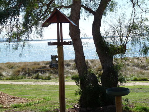 Swansea Motor Inn Tasmania - Northern Rivers Accommodation 20