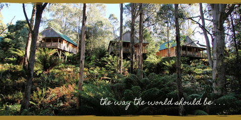 Lemonthyme Wilderness Retreat - Northern Rivers Accommodation 20