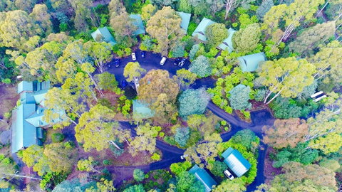 Lemonthyme Wilderness Retreat - Northern Rivers Accommodation 1