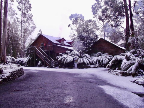 Lemonthyme Wilderness Retreat - Northern Rivers Accommodation 12