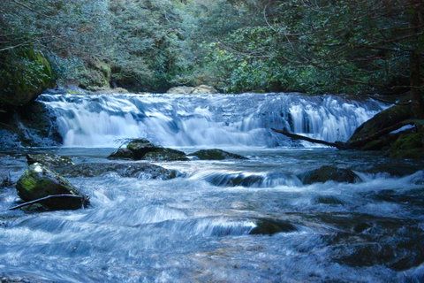 Lemonthyme Wilderness Retreat - Northern Rivers Accommodation 10