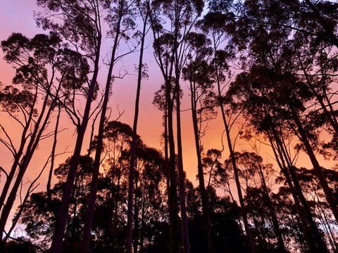 Lemonthyme Wilderness Retreat - Northern Rivers Accommodation 8