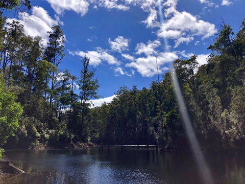 Lemonthyme Wilderness Retreat - Northern Rivers Accommodation 7