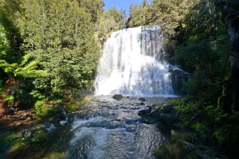 Lemonthyme Wilderness Retreat - Northern Rivers Accommodation 19