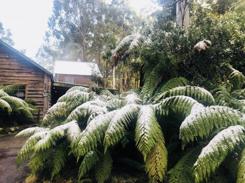 Lemonthyme Wilderness Retreat - Northern Rivers Accommodation 5