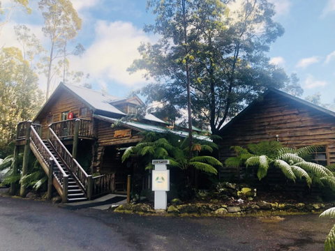 Lemonthyme Wilderness Retreat - Northern Rivers Accommodation 4