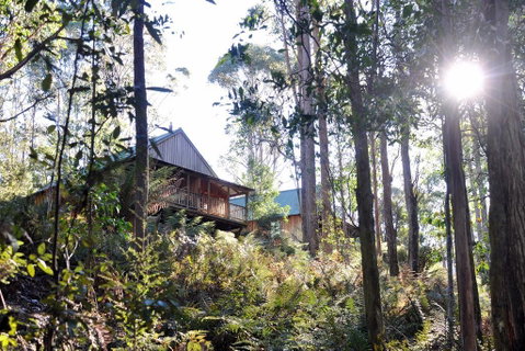 Lemonthyme Wilderness Retreat - Northern Rivers Accommodation 25