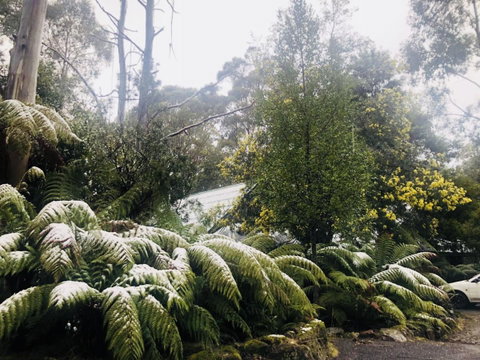 Lemonthyme Wilderness Retreat - Northern Rivers Accommodation 16