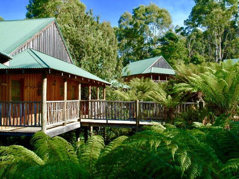 Lemonthyme Wilderness Retreat - Northern Rivers Accommodation 11