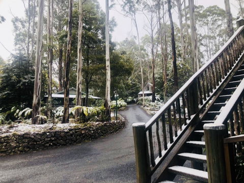 Lemonthyme Wilderness Retreat - Northern Rivers Accommodation 15