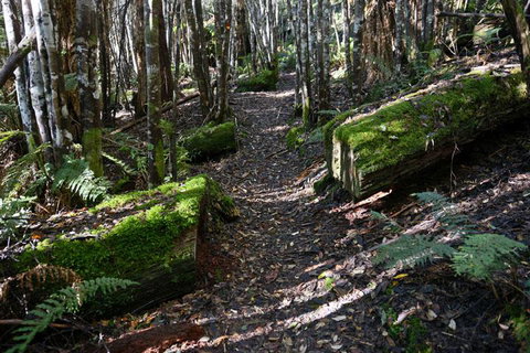 Lemonthyme Wilderness Retreat - Northern Rivers Accommodation 22