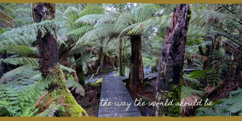 Lemonthyme Wilderness Retreat - Northern Rivers Accommodation 17