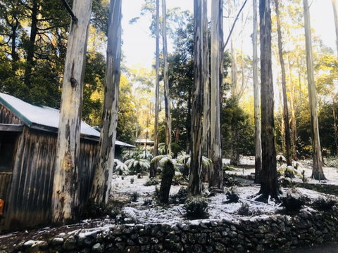 Lemonthyme Wilderness Retreat - Northern Rivers Accommodation 6