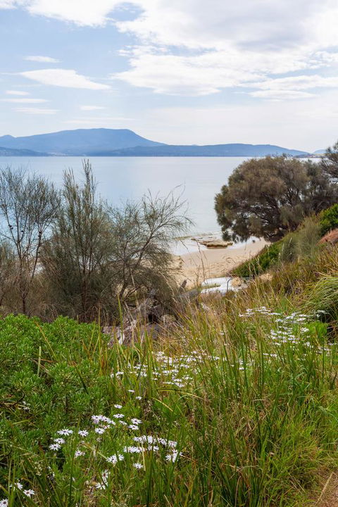 Blessington Beach Retreat - Northern Rivers Accommodation 37