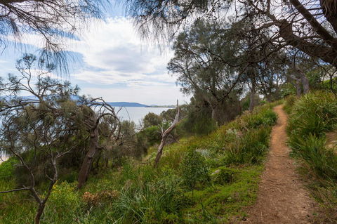 Blessington Beach Retreat - Northern Rivers Accommodation 35