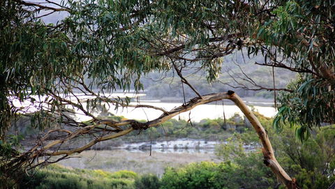 KINGFISHER COTTAGE Beachfront At The Binalong Bay - Northern Rivers Accommodation 17