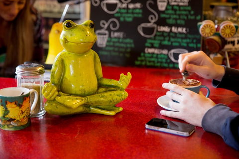 The Pickled Frog - Northern Rivers Accommodation 30