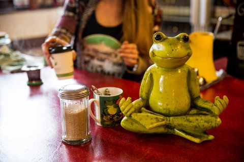 The Pickled Frog - Northern Rivers Accommodation 32