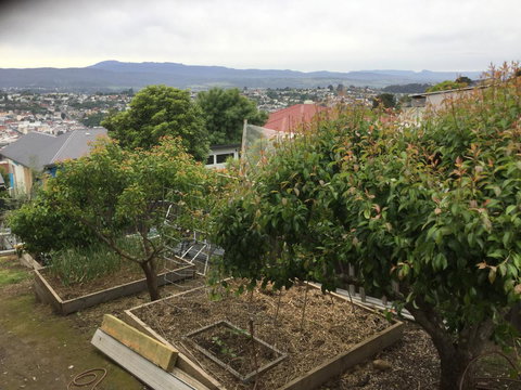 11 Argyle Street Townhouse - Northern Rivers Accommodation 4