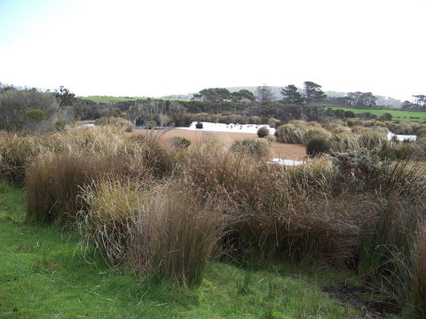 Cloudy Bay Beach House - Northern Rivers Accommodation 24