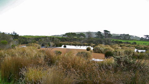 Cloudy Bay Beach House - Northern Rivers Accommodation 19