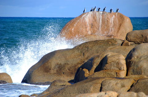 Cloudy Bay Beach House - Northern Rivers Accommodation 29