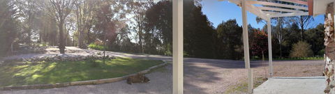 Hilltop Cottages - Northern Rivers Accommodation 1